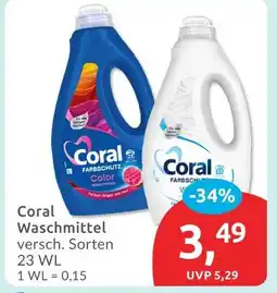 Budni Coral waschmittel color Angebot