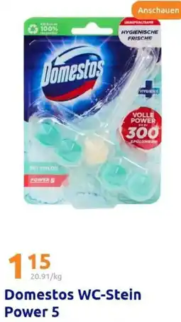 Action Domestos WC-Stein Power 5 Angebot