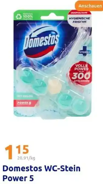Action Domestos WC-Stein Power 5 Angebot