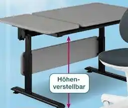 Möbel Inhofer PAIDI Schreibtisch Angebot