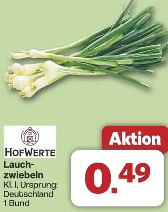Famila Nord West HOFWERTE Lauchzwiebeln Angebot
