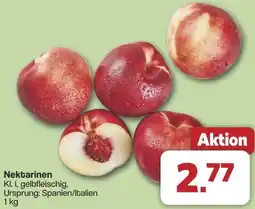 Famila Nord West Nektarinen Angebot