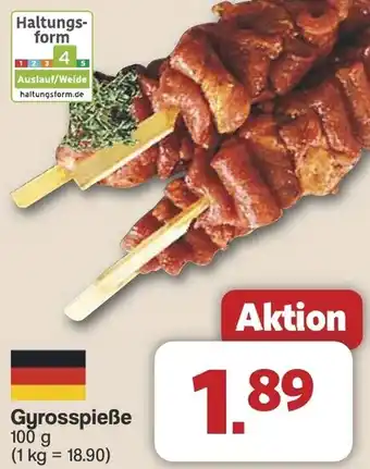 Famila Nord West Gyrosspieße Angebot