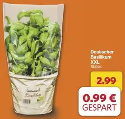 Famila Nord West Deutscher Basilikum XXL Angebot