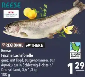 CITTI Markt Reese Frische Lachsforelle Angebot