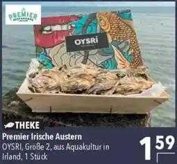 CITTI Markt Premier Irische Austern Angebot