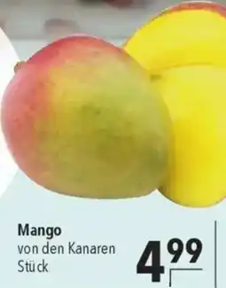 CITTI Markt Mango Angebot