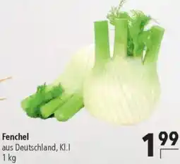 CITTI Markt Fenchel Angebot