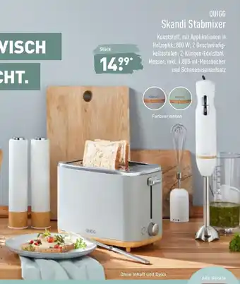 Aldi Nord Quigg Skandi Stabmixer Angebot