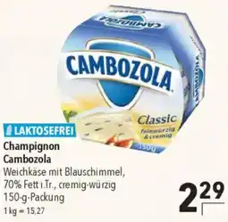 CITTI Markt Champignon Cambozola Angebot