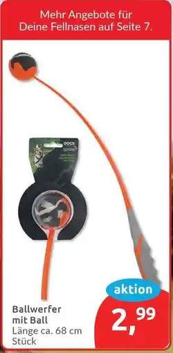 Budni Ballwerfer mit Ball Angebot