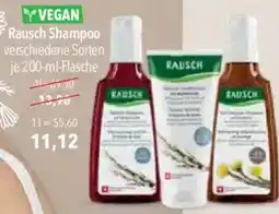 CITTI Markt Rausch Shampoo Angebot