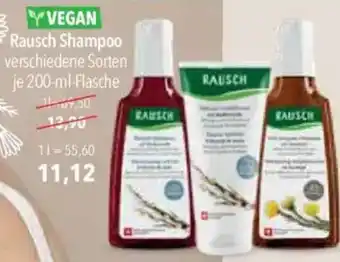 CITTI Markt Rausch Shampoo Angebot