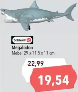CITTI Markt Schleich Megalodon Angebot