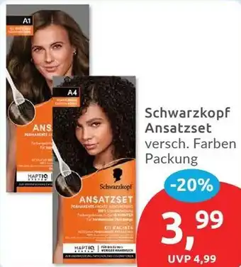 Budni Schwarzkopf Ansatzset Angebot