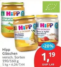 Budni Hipp Gläschen Angebot