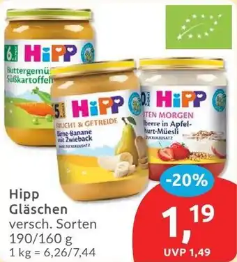 Budni Hipp Gläschen Angebot