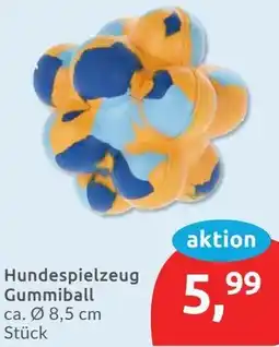 Budni Hundespielzeug Gummiball Angebot