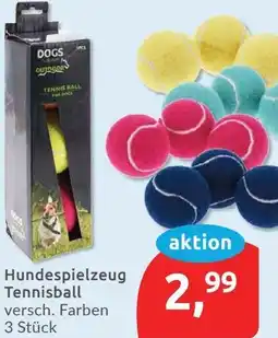 Budni Hundespielzeug Tennisball Angebot