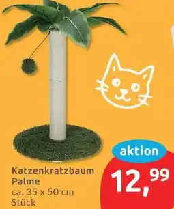 Budni Katzenkratzbaum Palme Angebot