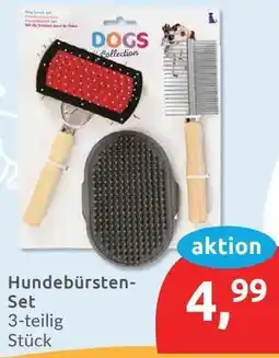 Budni Hundebürsten Set Angebot