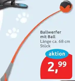 Budni Ballwerfer mit Ball Angebot