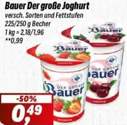Simmel Bauer Der große Joghurt Angebot