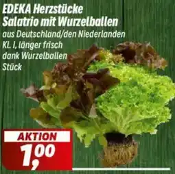 Simmel EDEKA Herzstücke Salatrio mit Wurzelballen Angebot