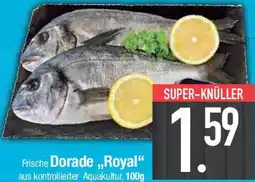 E-Center Dorade ,,Royal" Angebot