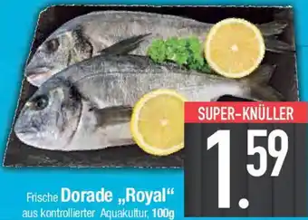 E-Center Dorade ,,Royal" Angebot
