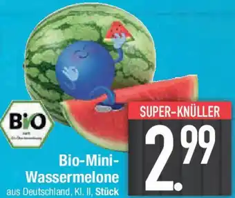 E-Center Bio-Mini- Wassermelone Angebot