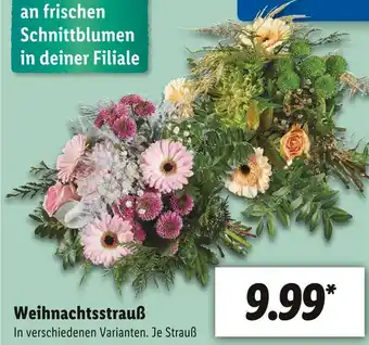 Lidl Weihnachtsstrauß Angebot