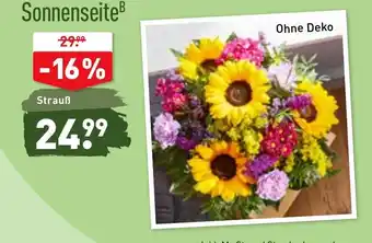 Aldi Nord Sonnenseite Angebot