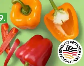 Kaufland Paprika Rot Angebot