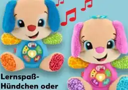 Kaufland Fisher Price Lernspaß Hündchen Angebot