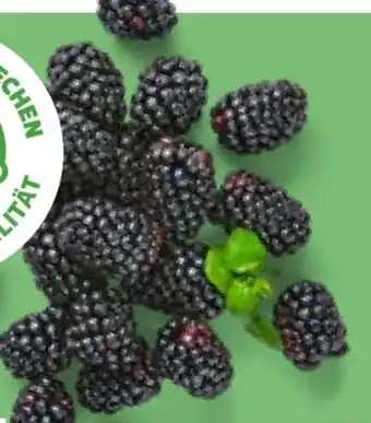Kaufland Driscoll's Brombeeren Angebot