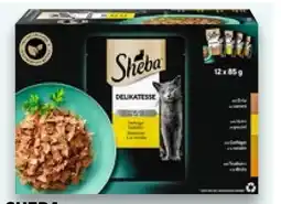 Kaufland Sheba Delikatesse in Gelee Angebot