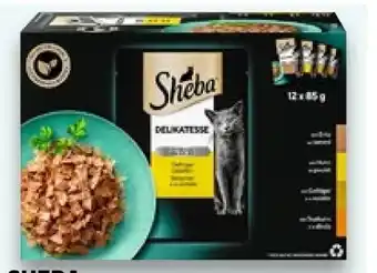 Kaufland Sheba Delikatesse in Gelee Angebot