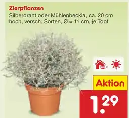 Netto Marken-Discount Silberdraht Angebot