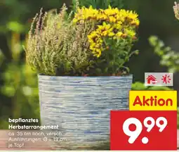 Netto Marken-Discount Bepflanztes herbstarrangement Angebot