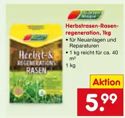 Netto Marken-Discount Herbstrasen-rasenregeneration Angebot