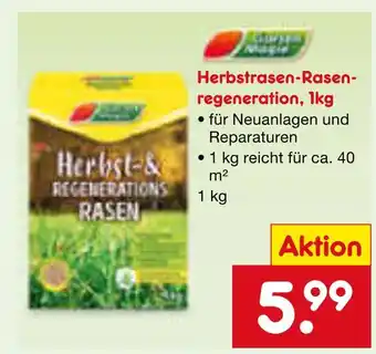 Netto Marken-Discount Herbstrasen-rasenregeneration Angebot