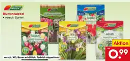 Netto Marken-Discount Blumenzwiebel Angebot