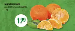 V Markt Mandarinen Angebot