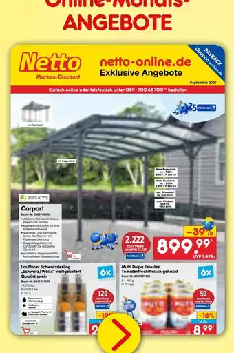 Netto Marken-Discount Juskys carport Angebot