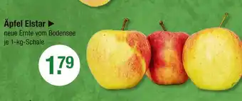 V Markt Äpfel elstar Angebot