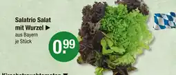 V Markt Salatrio salat mit wurzel Angebot