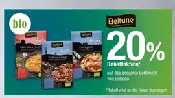 V Markt Beltane chili con carne, lachsgratin, gebratene nudeln Angebot