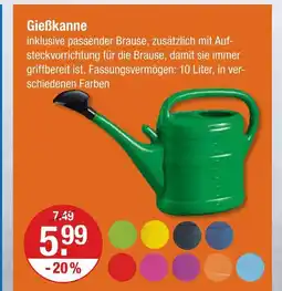 V Markt Gießkanne Angebot