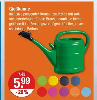 V Markt Gießkanne Angebot